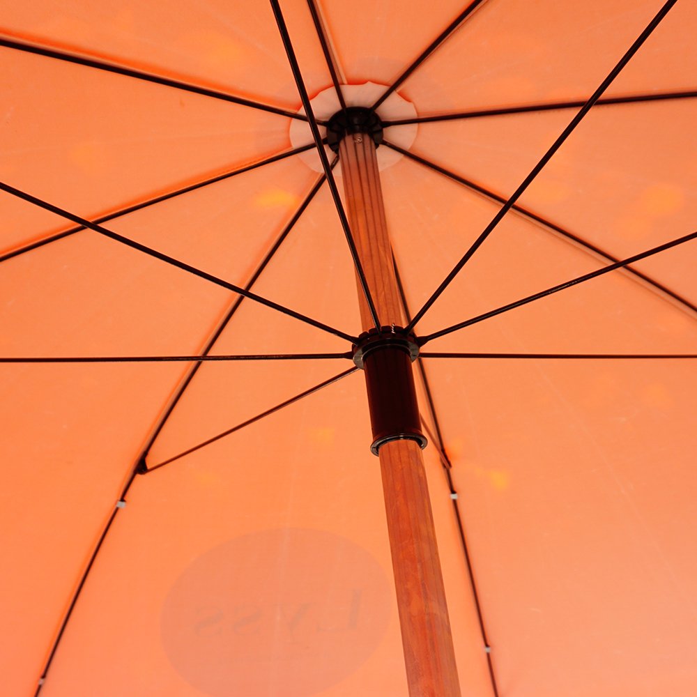 โครงร่มสนาม