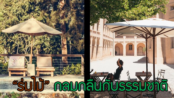 เลือกวัสดุทำร่มกลางแจ้ง เลือกวัสดุทำร่มกลางแจ้ง