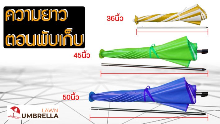 ความยาวร่มสนามตอนพับเก็บ