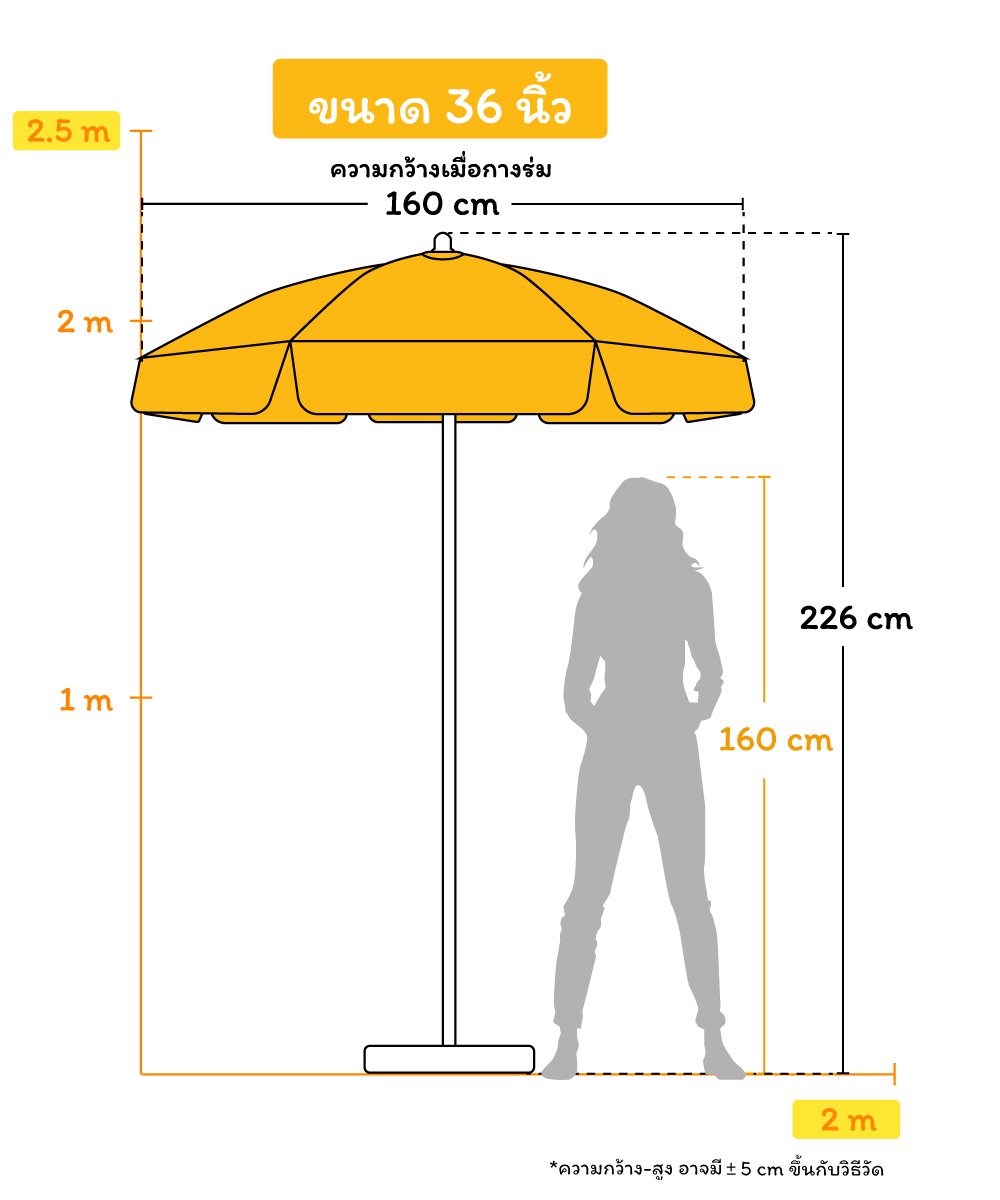 ขนาดทรงกลม-36นิ้ว